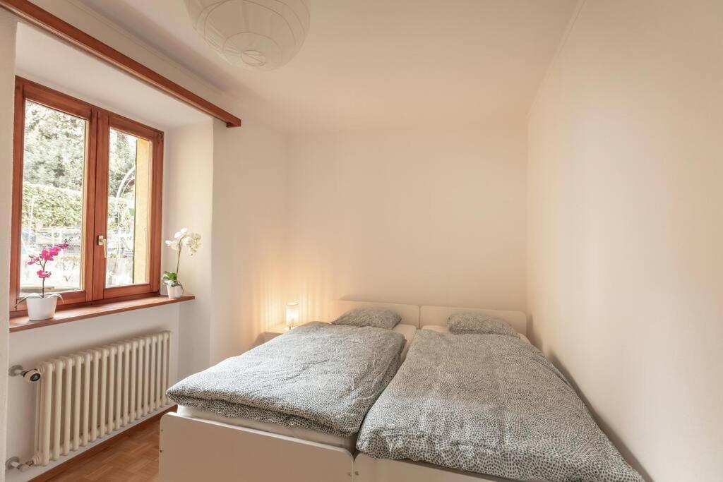 अपार्टमेंट Casa Al Sole - Bellissimo Con Terrazza E Vista Minusio